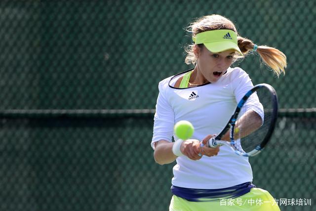 图鉴达成度 图鉴达成度